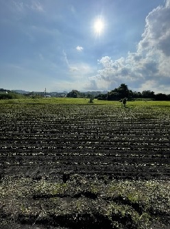 まちグループ・要建設の農業報告常陸秋そばの種蒔き無事終わりました。